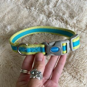 Coastal Blue and Green Dog Collar brand coastal